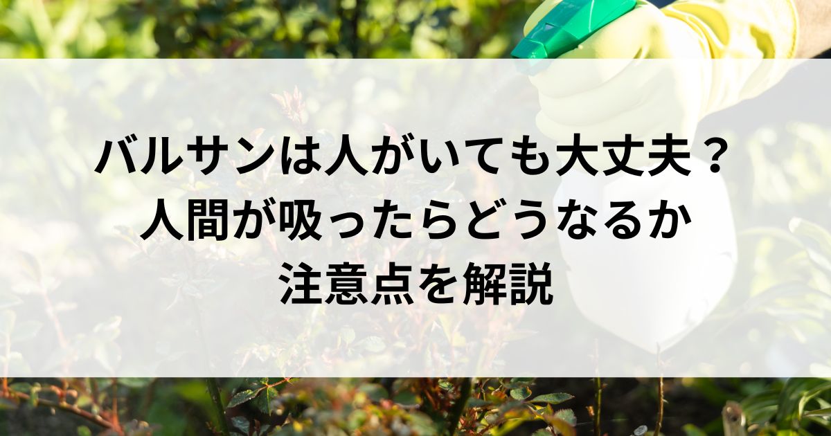 バルサンは人がいても大丈夫？人間が吸ったらどうなるか注意点を解説の画像