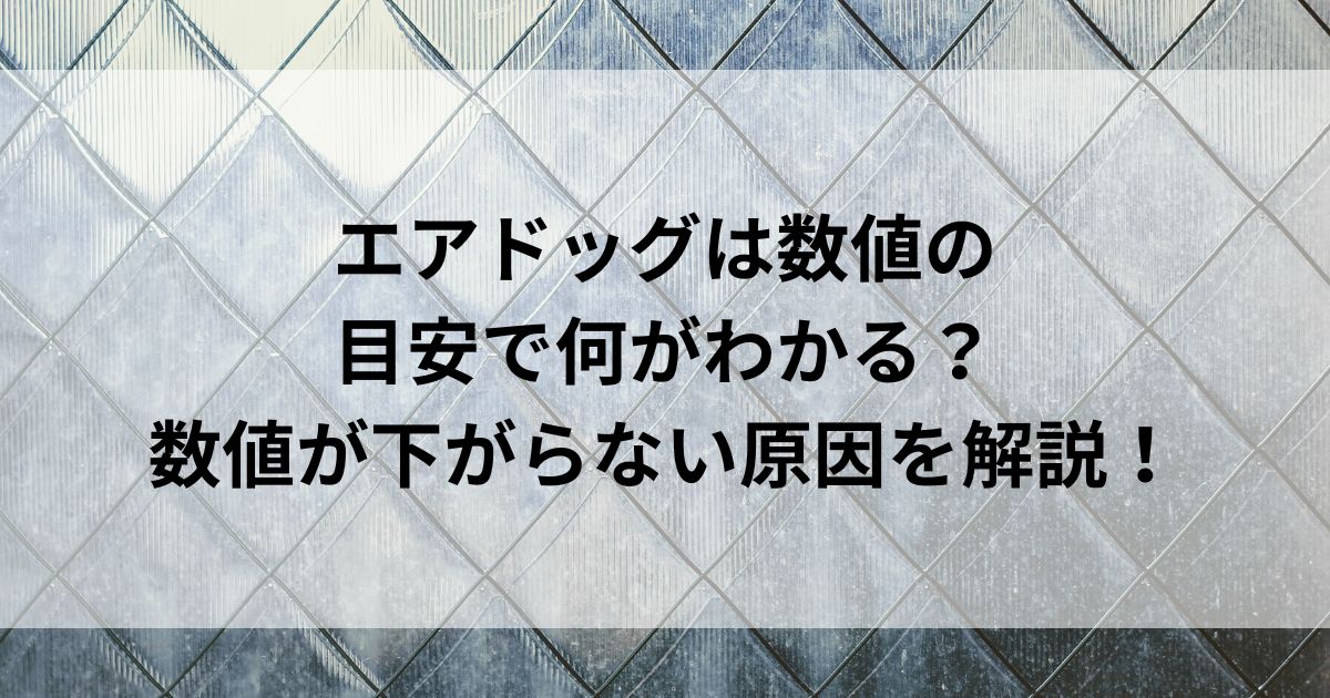 エアドッグは数値の目安で何がわかる？数値が下がらない原因を解説の画像